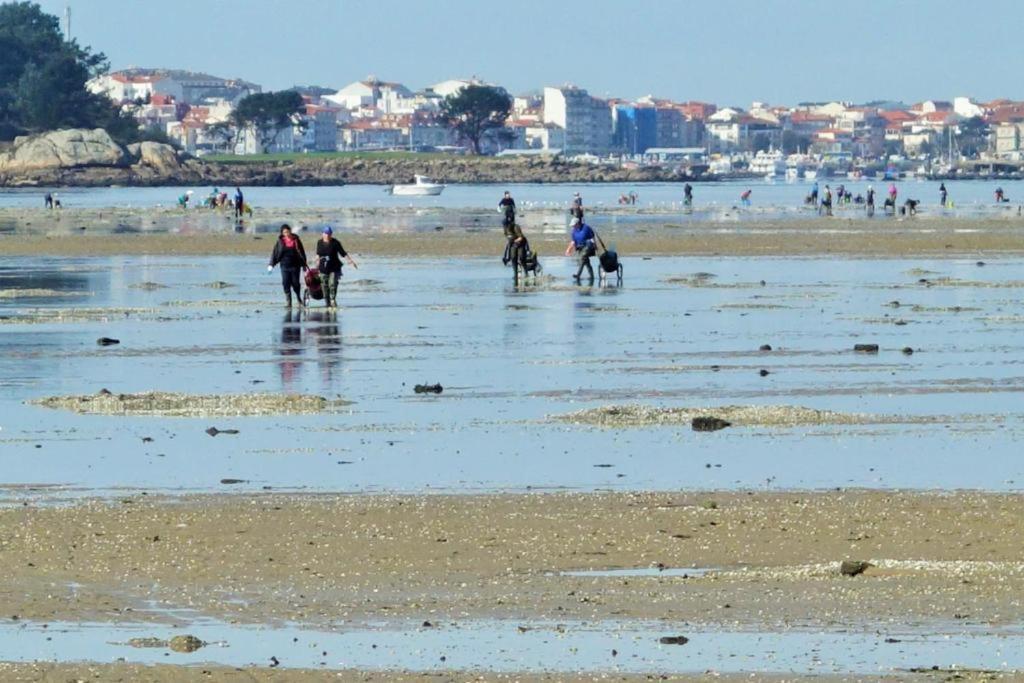 As Rosas Apartamentos Turisticos Cambados Esterno foto